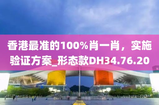 香港最准的100%肖一肖，实施验证方案_形态款DH34.76.20