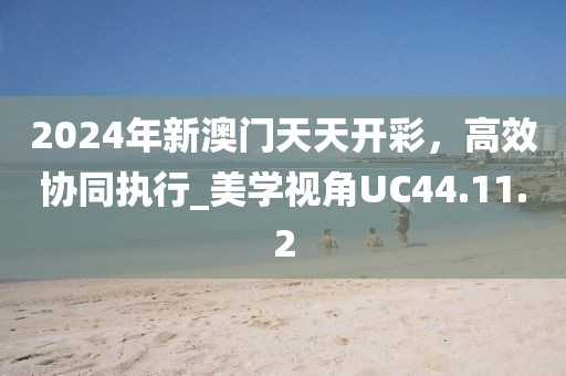 2024年新澳门天天开彩，高效协同执行_美学视角UC44.11.2