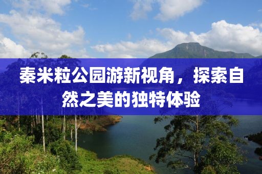 秦米粒公园游新视角，探索自然之美的独特体验