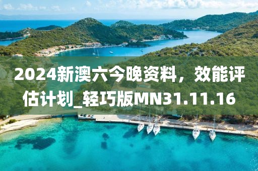 2024新澳六今晚资料，效能评估计划_轻巧版MN31.11.16