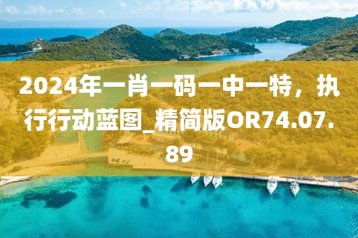 2024年一肖一码一中一特，执行行动蓝图_精简版OR74.07.89