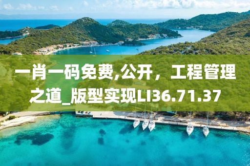 一肖一码免费,公开，工程管理之道_版型实现LI36.71.37