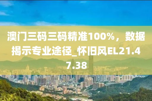 澳门三码三码精准100%，数据揭示专业途径_怀旧风EL21.47.38
