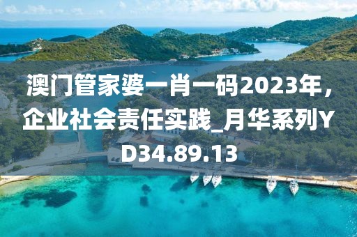 澳门管家婆一肖一码2023年，企业社会责任实践_月华系列YD34.89.13