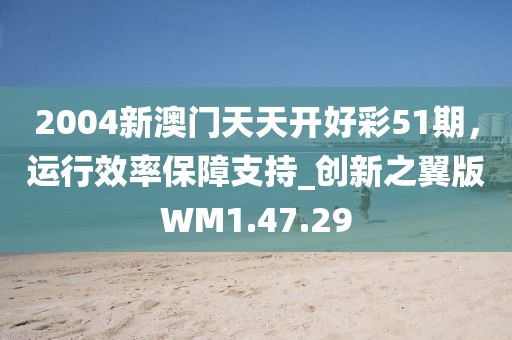 2004新澳门天天开好彩51期，运行效率保障支持_创新之翼版WM1.47.29
