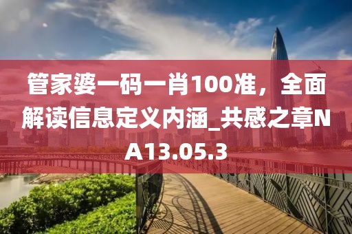 管家婆一码一肖100准，全面解读信息定义内涵_共感之章NA13.05.3
