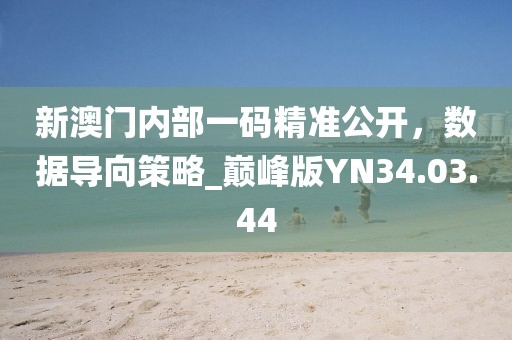新澳门内部一码精准公开，数据导向策略_巅峰版YN34.03.44
