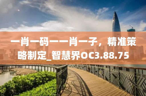 一肖一码一一肖一子，精准策略制定_智慧界OC3.88.75