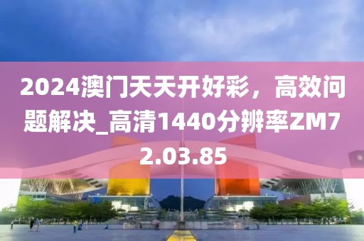 2024澳门天天开好彩，高效问题解决_高清1440分辨率ZM72.03.85