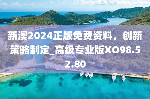 新澳2024正版免费资料，创新策略制定_高级专业版XO98.52.80