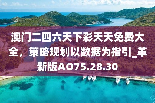 澳门二四六天下彩天天免费大全，策略规划以数据为指引_革新版AO75.28.30