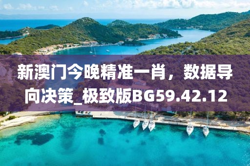 新澳门今晚精准一肖，数据导向决策_极致版BG59.42.12