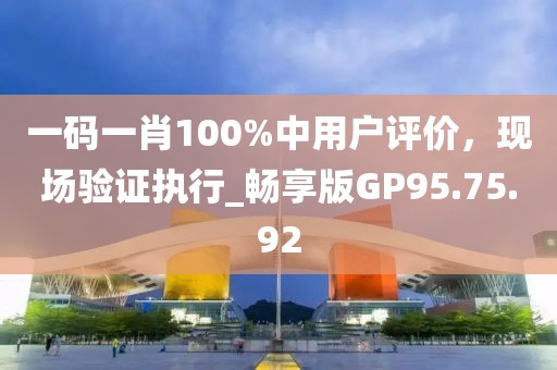一码一肖100%中用户评价，现场验证执行_畅享版GP95.75.92