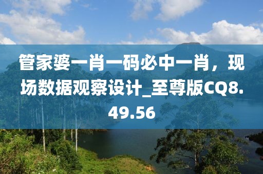 管家婆一肖一码必中一肖，现场数据观察设计_至尊版CQ8.49.56