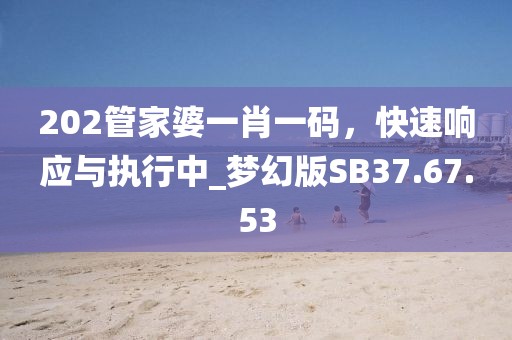 202管家婆一肖一码，快速响应与执行中_梦幻版SB37.67.53