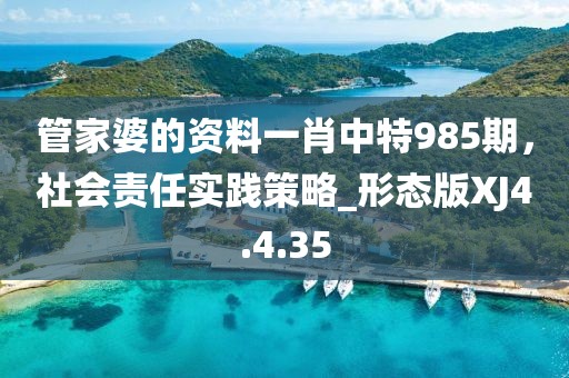 管家婆的资料一肖中特985期，社会责任实践策略_形态版XJ4.4.35