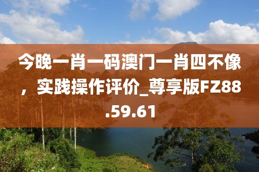 今晚一肖一码澳门一肖四不像，实践操作评价_尊享版FZ88.59.61