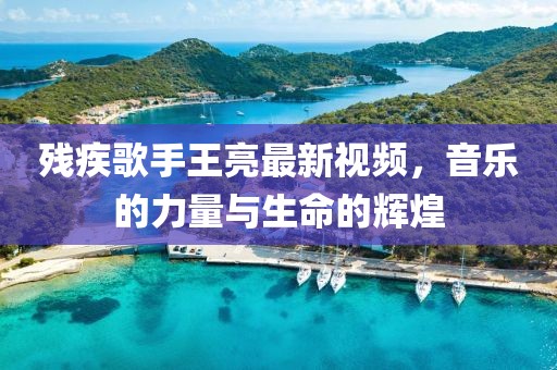 残疾歌手王亮最新视频，音乐的力量与生命的辉煌