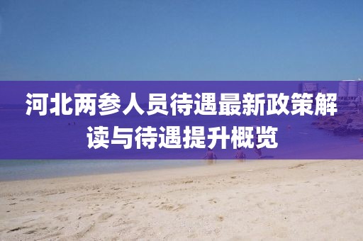 河北两参人员待遇最新政策解读与待遇提升概览