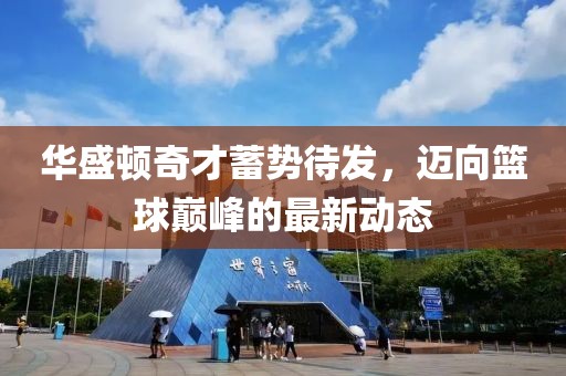 华盛顿奇才蓄势待发，迈向篮球巅峰的最新动态