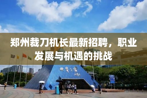云中娇凤 第29页