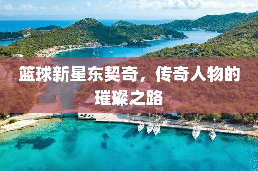 篮球新星东契奇，传奇人物的璀璨之路