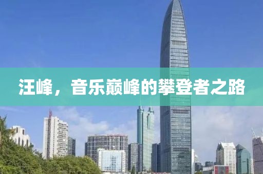 汪峰，音乐巅峰的攀登者之路