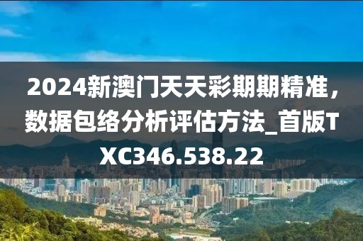 2024新澳门天天彩期期精准，数据包络分析评估方法_首版TXC346.538.22