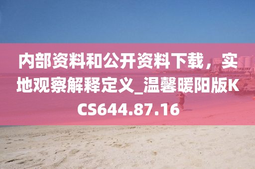 内部资料和公开资料下载，实地观察解释定义_温馨暖阳版KCS644.87.16