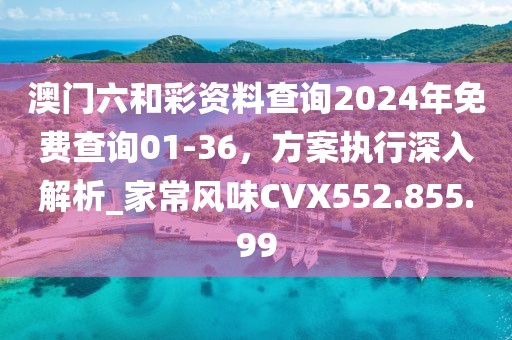 澳门六和彩资料查询2024年免费查询01-36，方案执行深入解析_家常风味CVX552.855.99