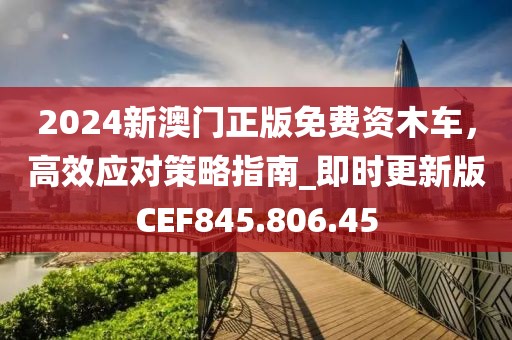 2024新澳门正版免费资木车，高效应对策略指南_即时更新版CEF845.806.45