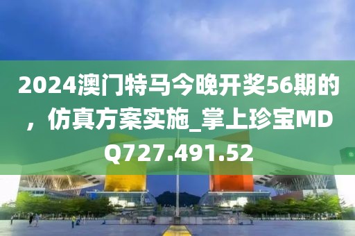 2024澳门特马今晚开奖56期的，仿真方案实施_掌上珍宝MDQ727.491.52