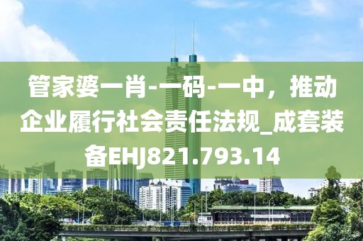 管家婆一肖-一码-一中，推动企业履行社会责任法规_成套装备EHJ821.793.14