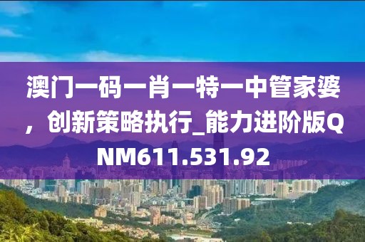 澳门一码一肖一特一中管家婆，创新策略执行_能力进阶版QNM611.531.92