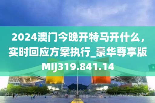 2024澳门今晚开特马开什么，实时回应方案执行_豪华尊享版MIJ319.841.14