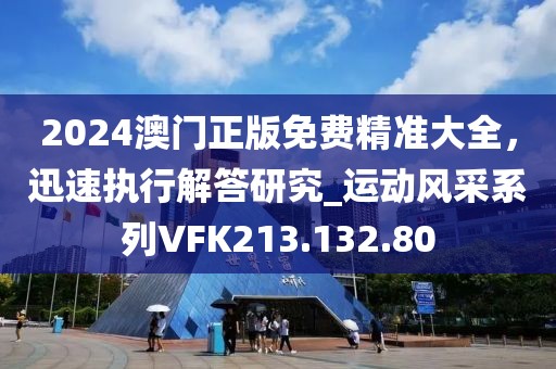 2024澳门正版免费精准大全，迅速执行解答研究_运动风采系列VFK213.132.80
