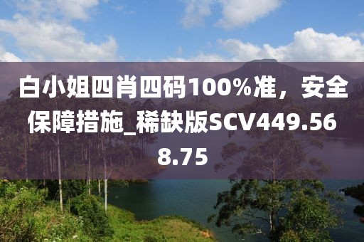 白小姐四肖四码100%准，安全保障措施_稀缺版SCV449.568.75