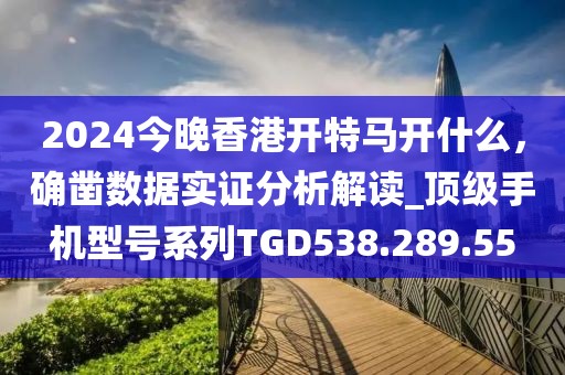 2024今晚香港开特马开什么，确凿数据实证分析解读_顶级手机型号系列TGD538.289.55