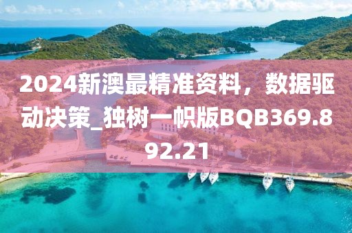 2024新澳最精准资料，数据驱动决策_独树一帜版BQB369.892.21