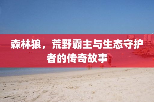 森林狼，荒野霸主与生态守护者的传奇故事