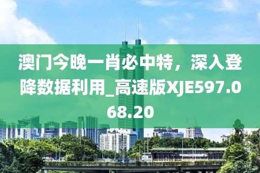 澳门今晚一肖必中特，深入登降数据利用_高速版XJE597.068.20
