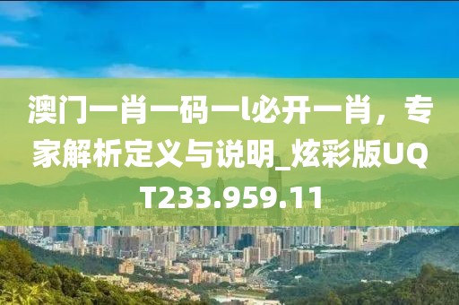澳门一肖一码一l必开一肖，专家解析定义与说明_炫彩版UQT233.959.11