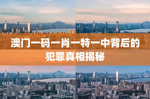 澳门一码一肖一特一中背后的犯罪真相揭秘