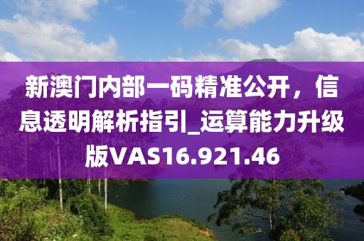 新澳门内部一码精准公开，信息透明解析指引_运算能力升级版VAS16.921.46