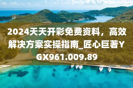 2024天天开彩免费资料，高效解决方案实操指南_匠心巨著YGX961.009.89