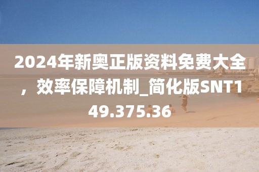 2024年新奥正版资料免费大全，效率保障机制_简化版SNT149.375.36