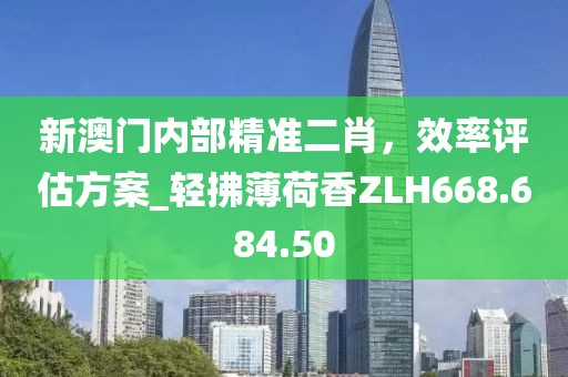 新澳门内部精准二肖，效率评估方案_轻拂薄荷香ZLH668.684.50