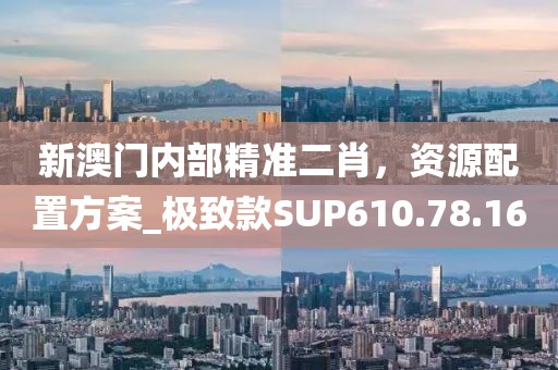 新澳门内部精准二肖，资源配置方案_极致款SUP610.78.16