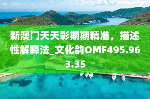 新澳门天天彩期期精准，描述性解释法_文化韵OMF495.963.35
