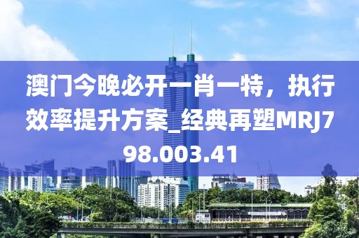澳门今晚必开一肖一特，执行效率提升方案_经典再塑MRJ798.003.41